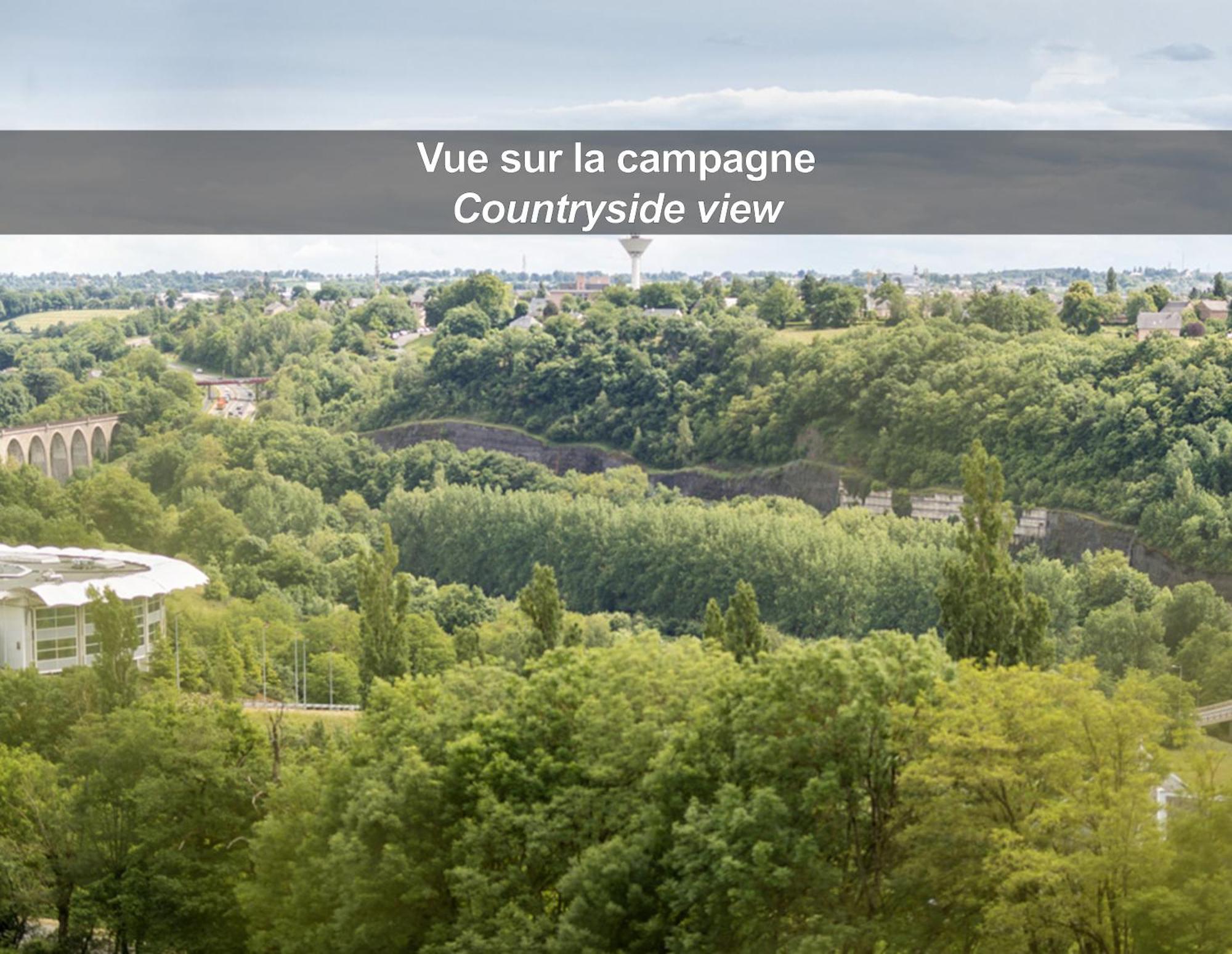 Hotel La Ferme De Bourran Rodez - Parking Prive Gratuit Buitenkant foto